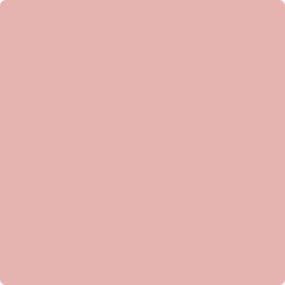 1291: Brighton Rock Candy by Benjamin Moore