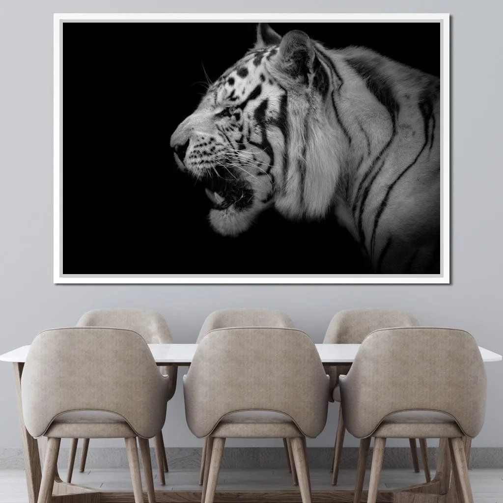 Black and White Tiger Profile