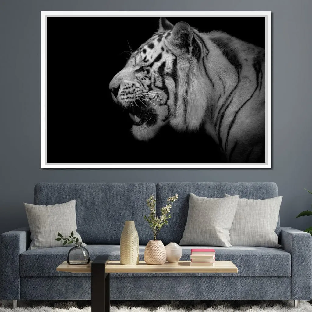 Black and White Tiger Profile