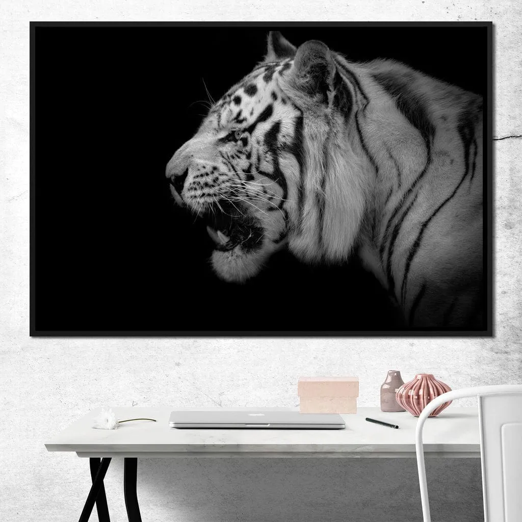 Black and White Tiger Profile