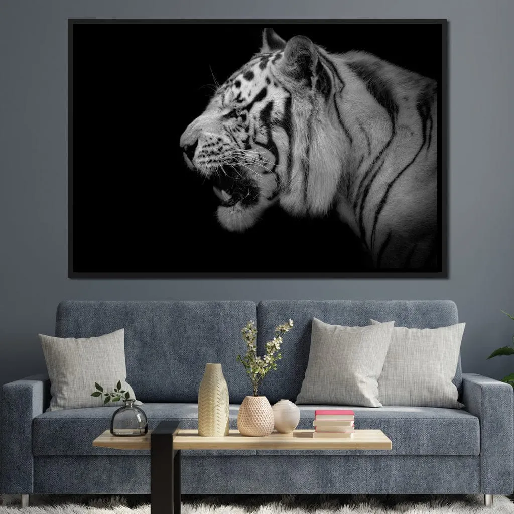 Black and White Tiger Profile