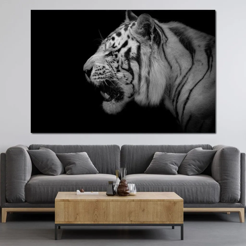 Black and White Tiger Profile