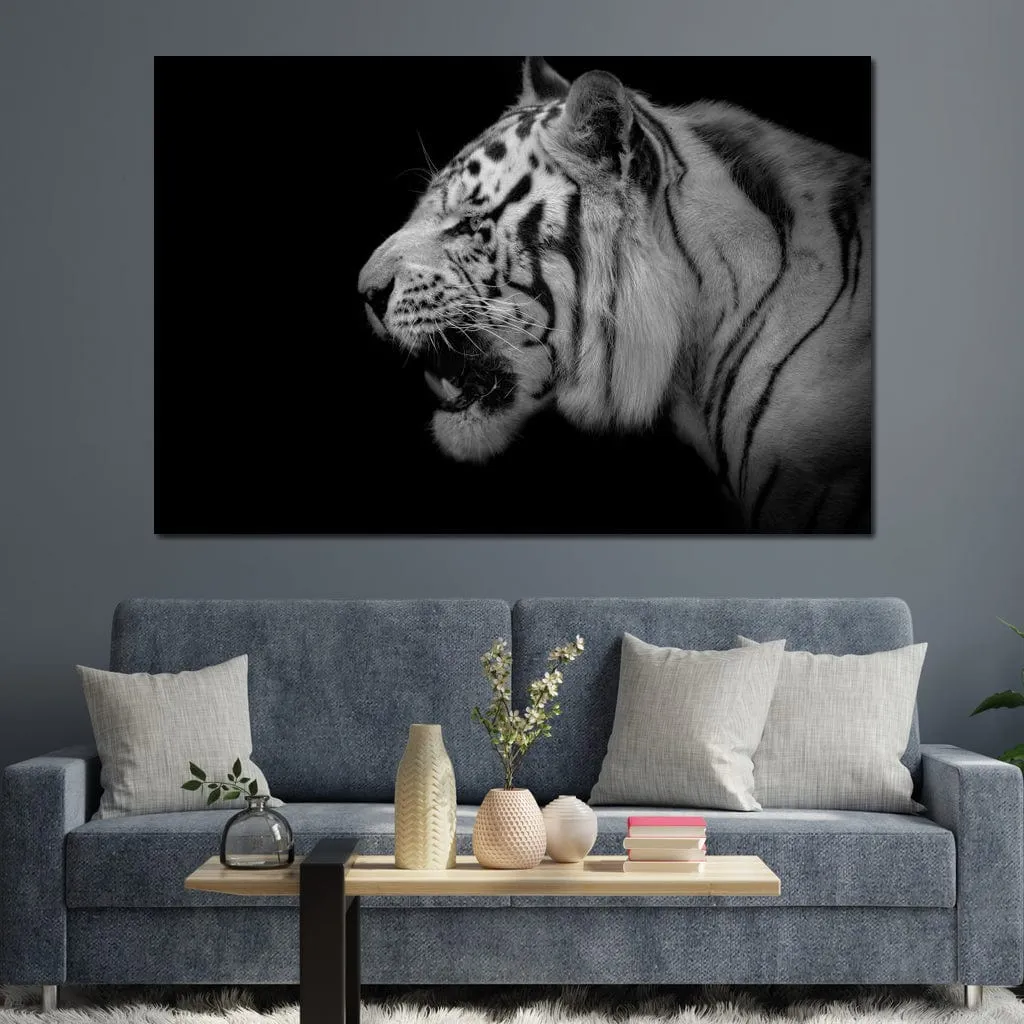 Black and White Tiger Profile