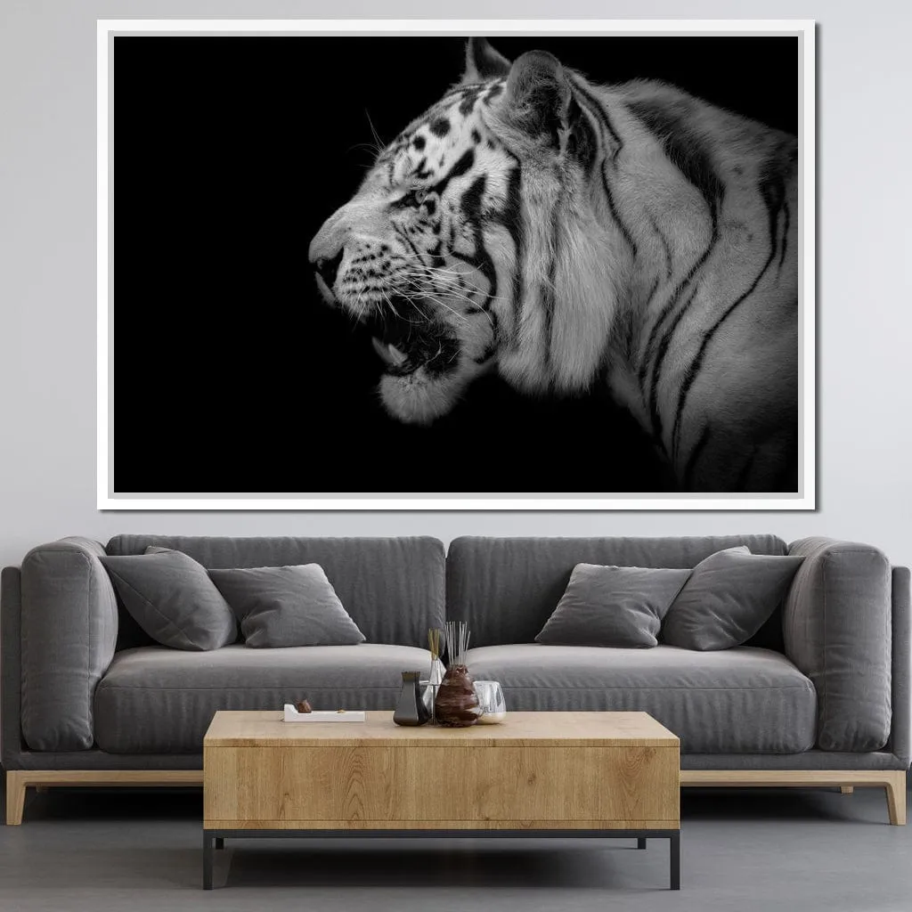 Black and White Tiger Profile