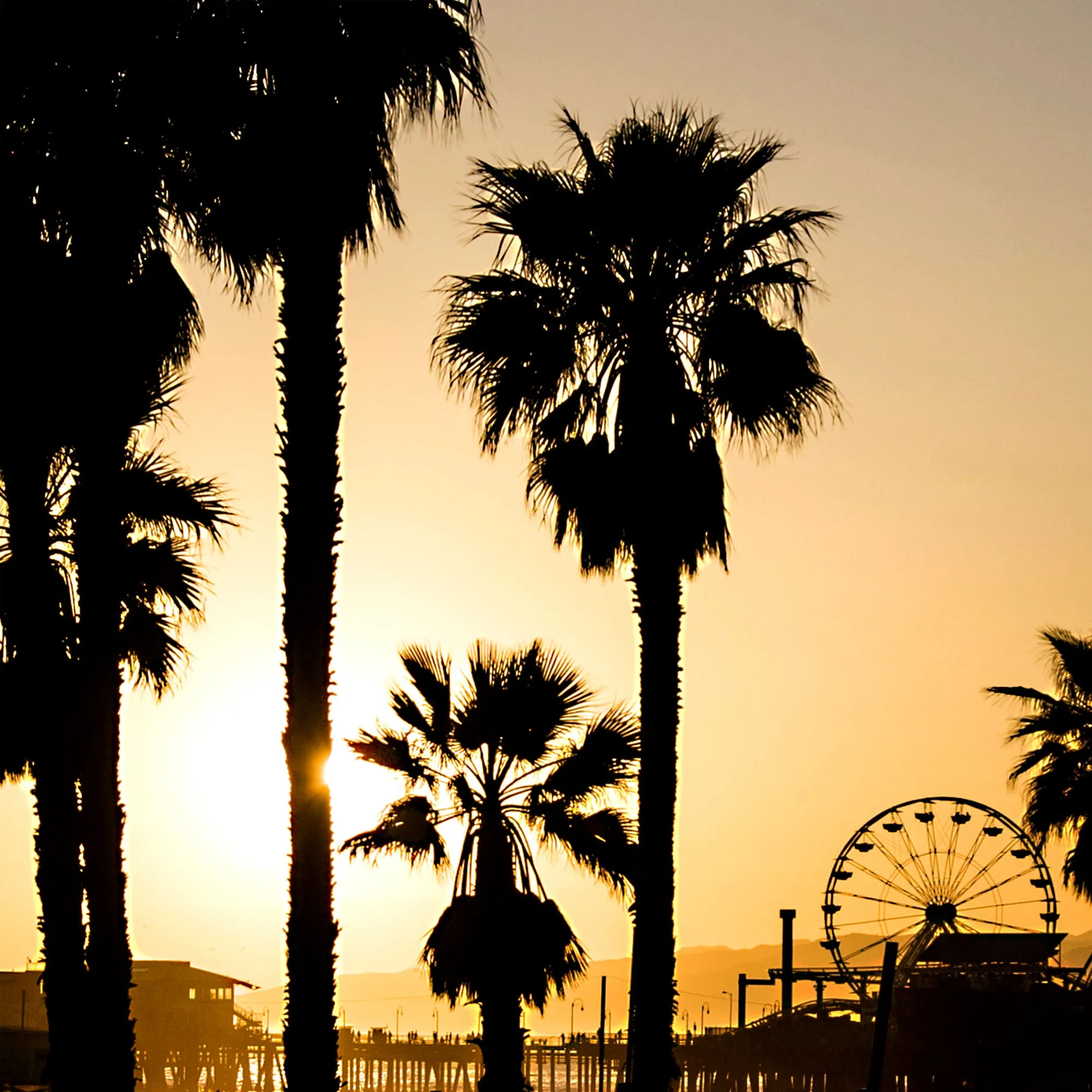 Santa Monica Pier on Canvas