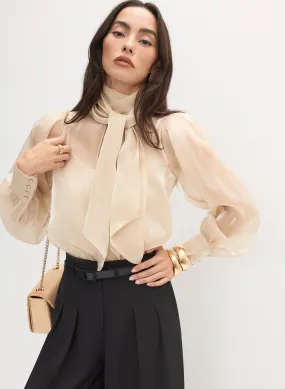 Tie Neck Organza Blouse